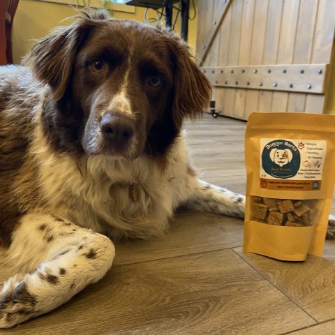 Luna Frequent Flyer photo